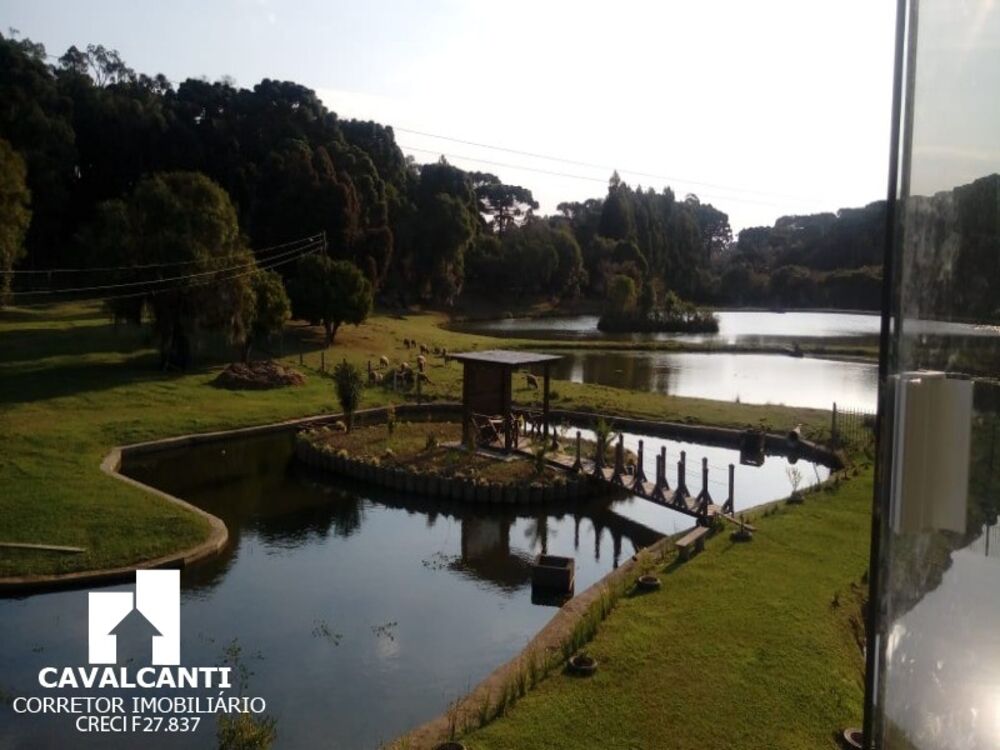 Chácara para alugar com 4 quartos, 1000m² - Foto 7
