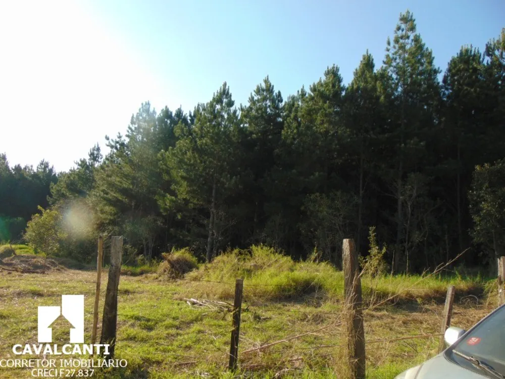 Sítio, 8 hectares - Foto 13