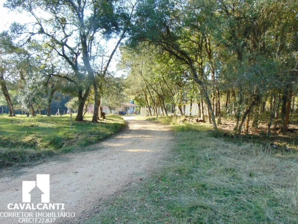Sítio, 8 hectares - Foto 12