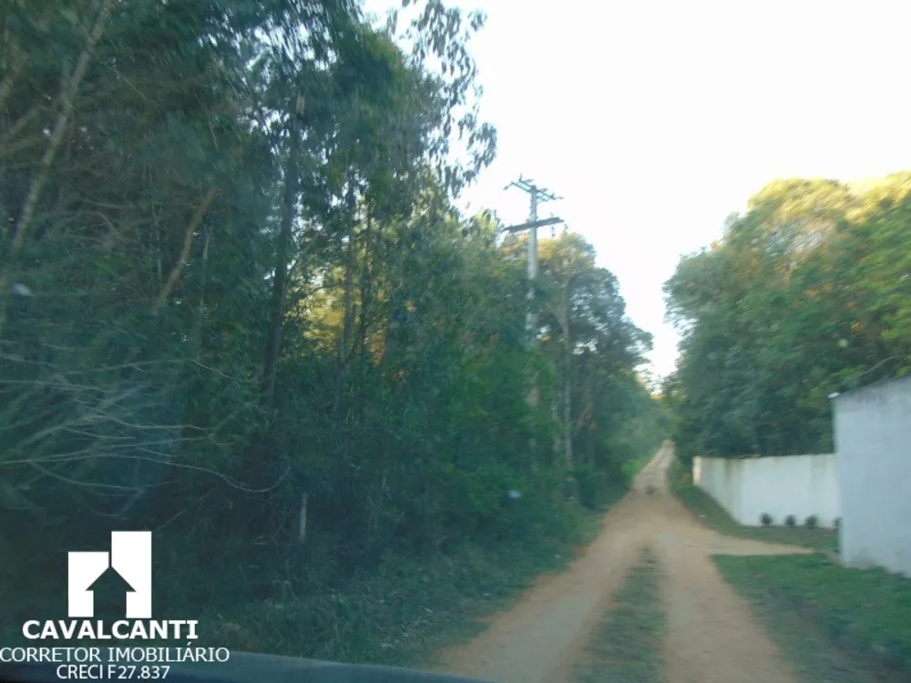Sítio, 8 hectares - Foto 15