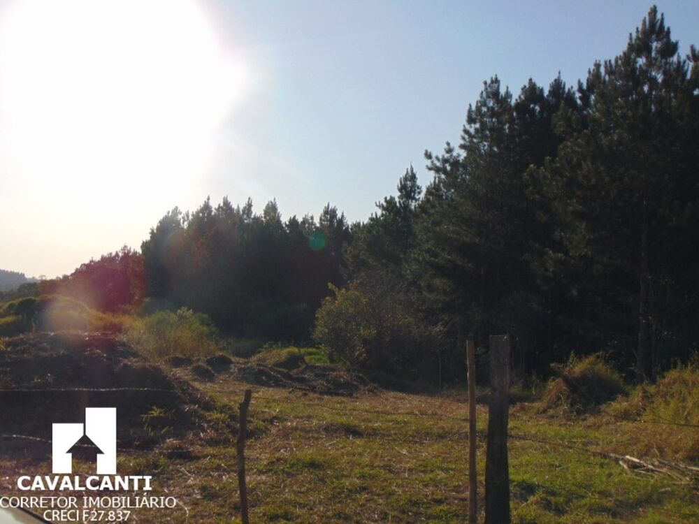 Sítio, 8 hectares - Foto 4