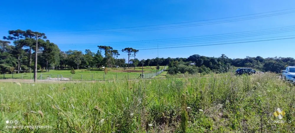 Terreno, 5000 m² - Foto 2