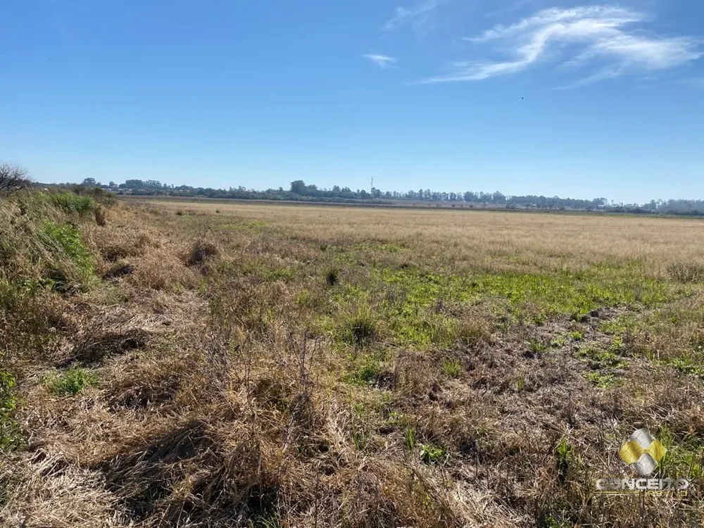 Terreno, 630 hectares - Foto 4