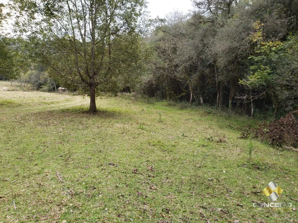 Terreno, 22 hectares - Foto 4