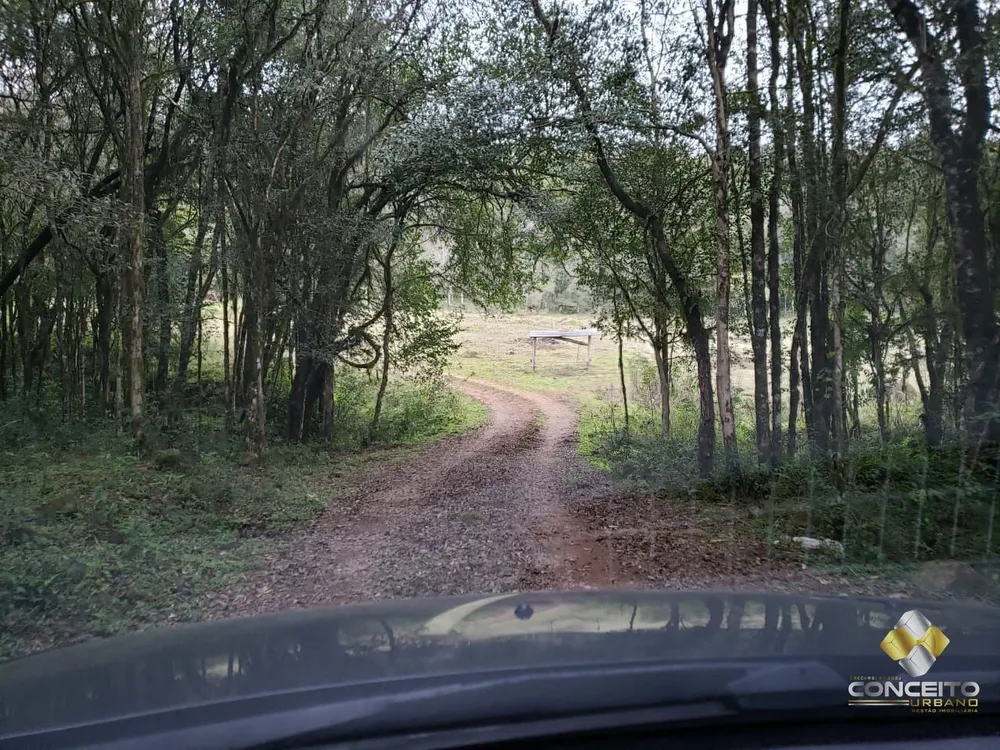 Terreno, 22 hectares - Foto 3