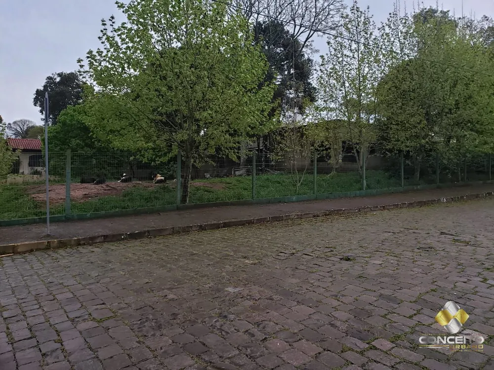 Terreno, 1122 m² - Foto 3