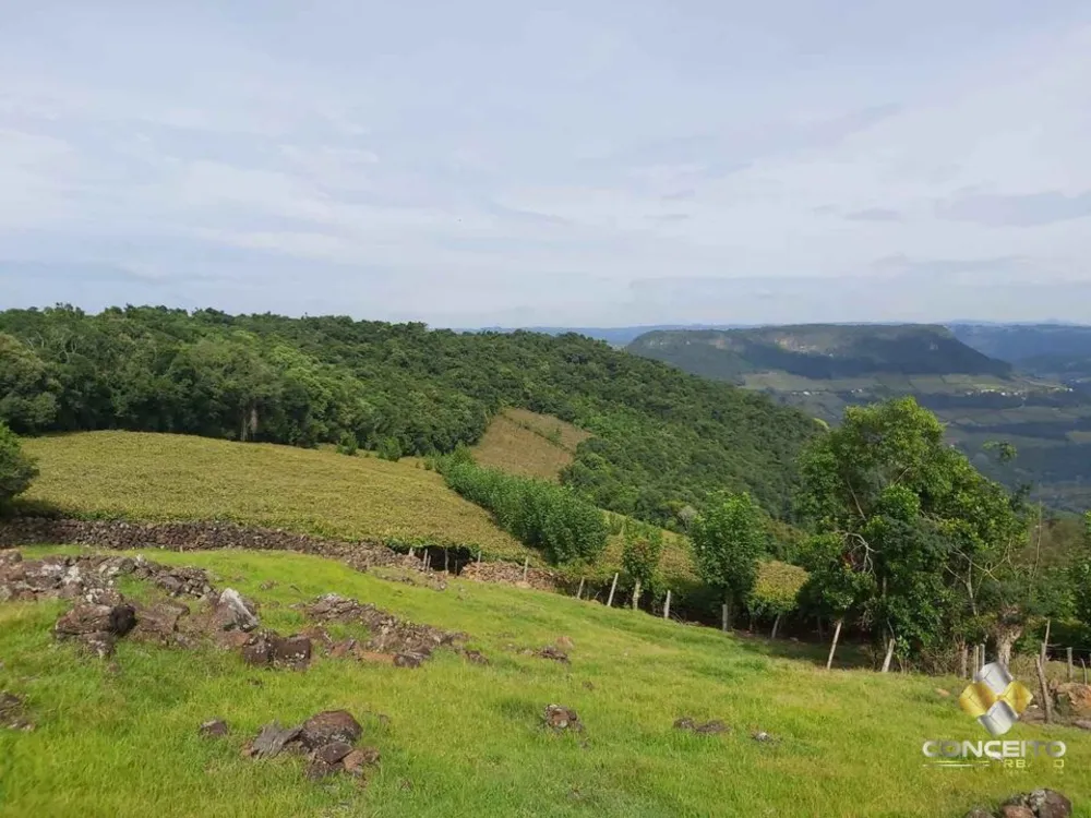Loteamento e Condomínio, 60000 hectares - Foto 3