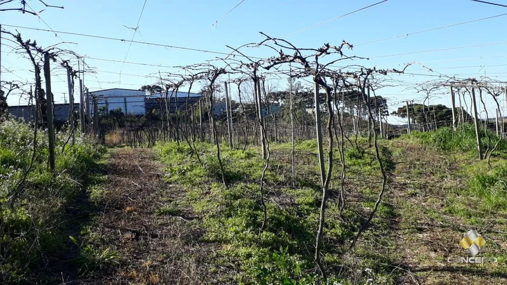 Loteamento e Condomínio, 13 hectares - Foto 3