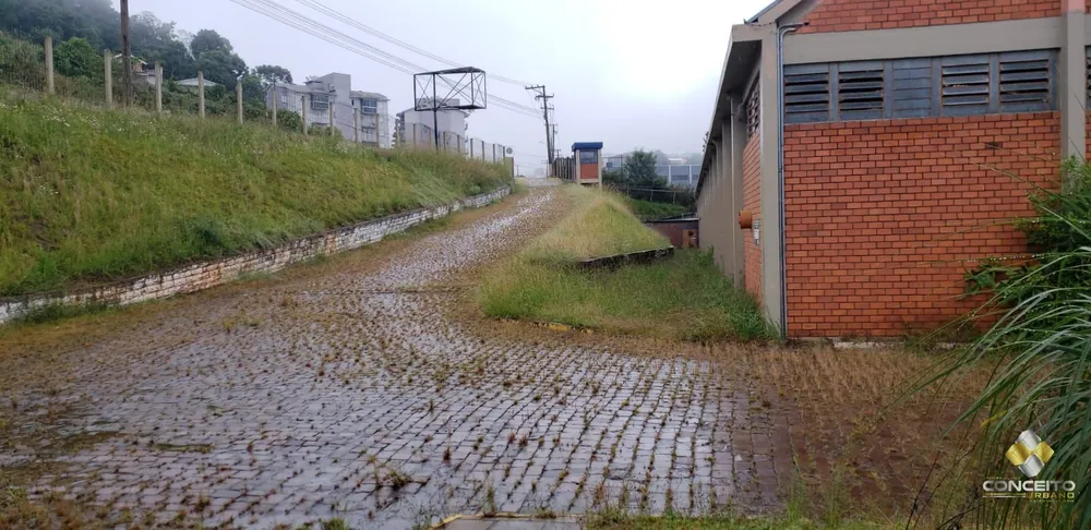 Depósito-Galpão, 4500 m² - Foto 3