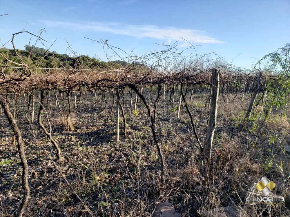 Terreno, 2 hectares - Foto 1