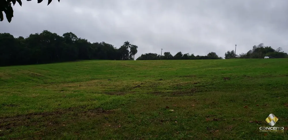 Terreno, 10000 m² - Foto 1