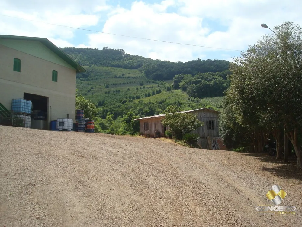 Sítio, 4 quartos, 17 hectares - Foto 2