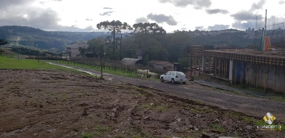 Loteamento e Condomínio, 1800 m² - Foto 2