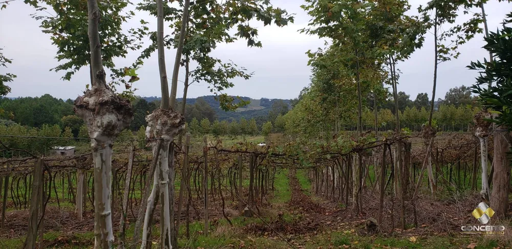 Terreno, 2 hectares - Foto 1