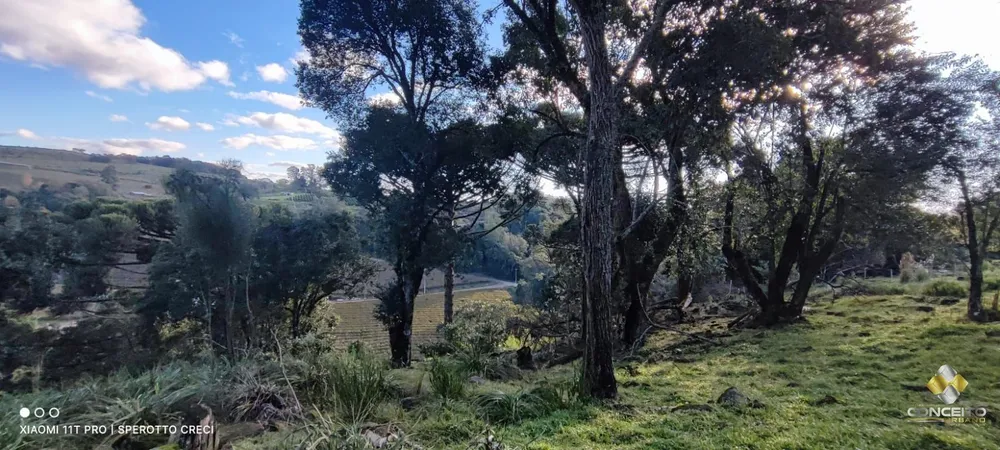 Terreno, 25 hectares - Foto 3