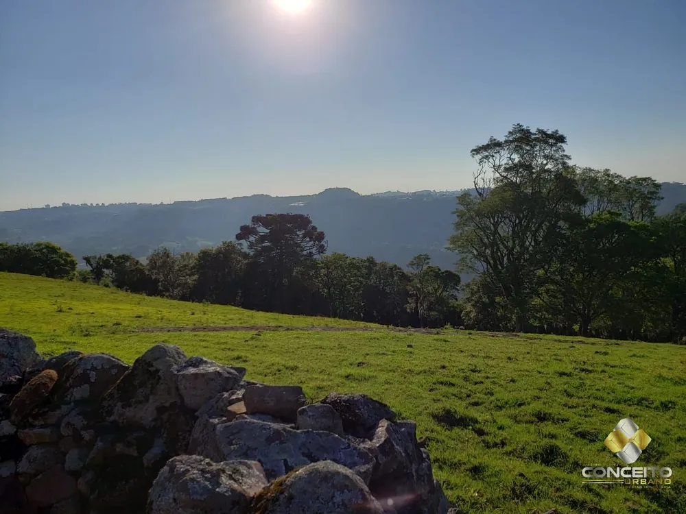 Terreno, 27 hectares - Foto 4