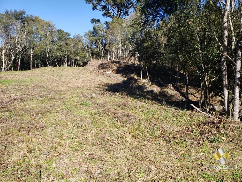 Terreno, 3 hectares - Foto 1