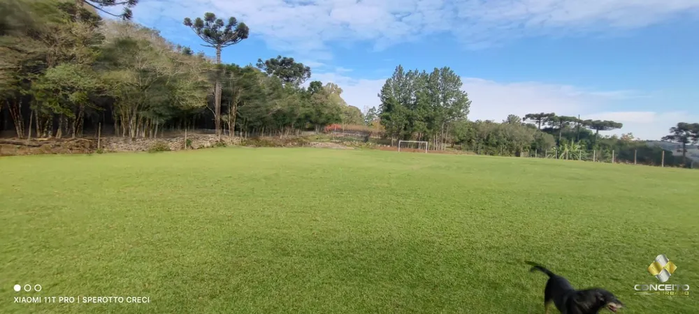 Terreno, 2 hectares - Foto 3