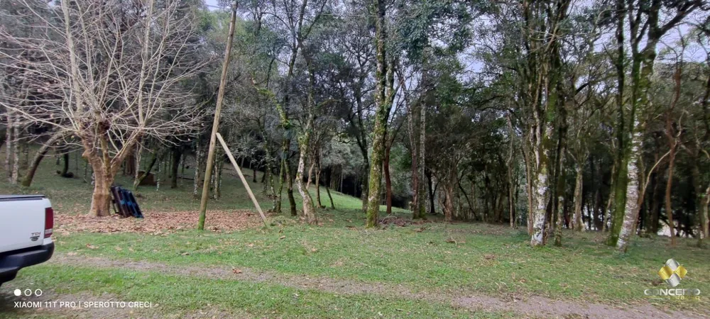 Sítio, 2 quartos, 90000 hectares - Foto 1