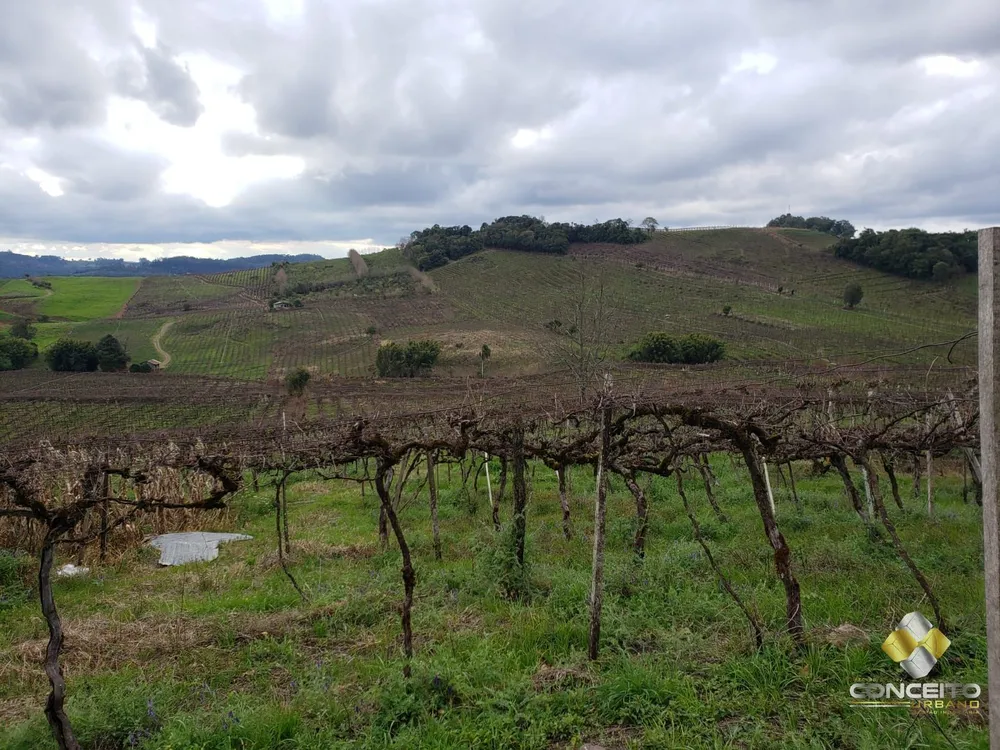 Terreno, 4 hectares - Foto 1