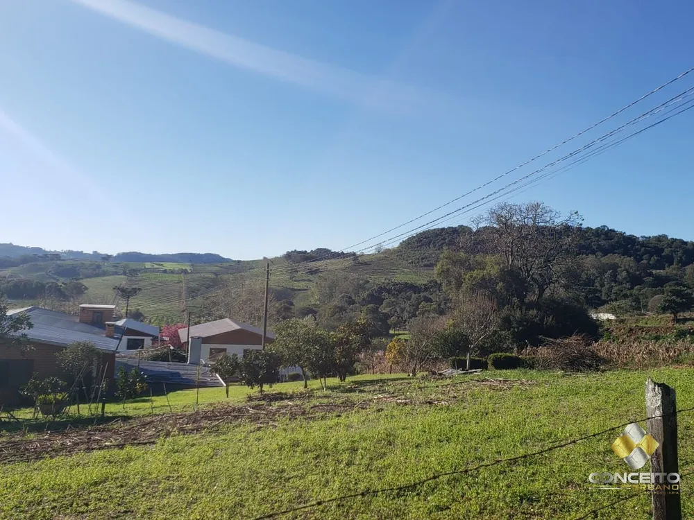 Terreno, 4 hectares - Foto 3