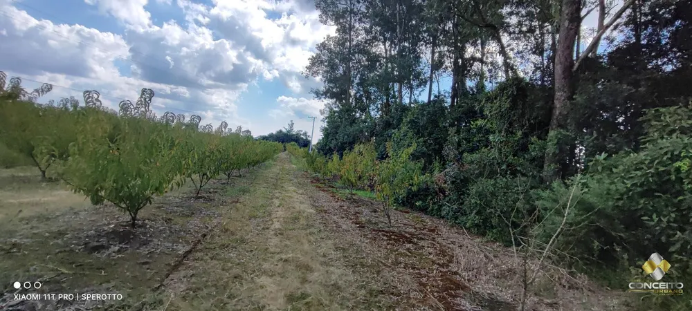 Terreno, 2 hectares - Foto 2