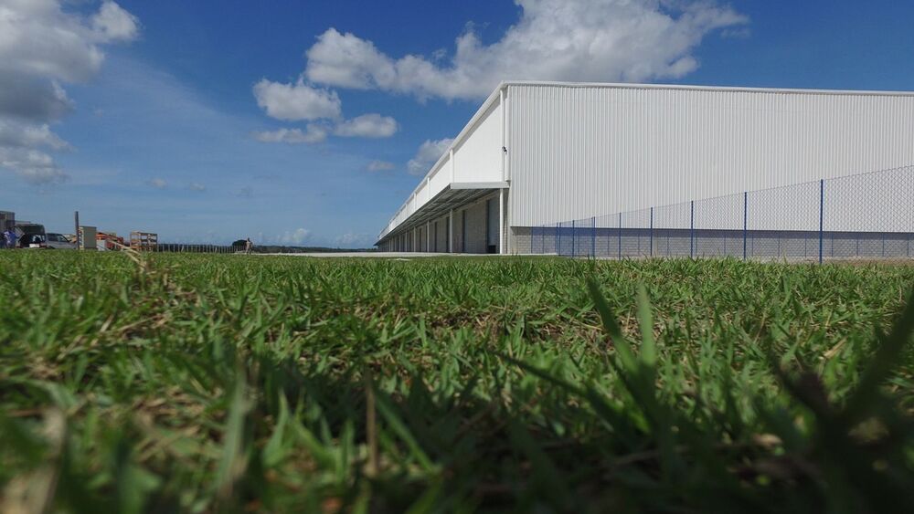 Depósito-Galpão, 10050 m² - Foto 10