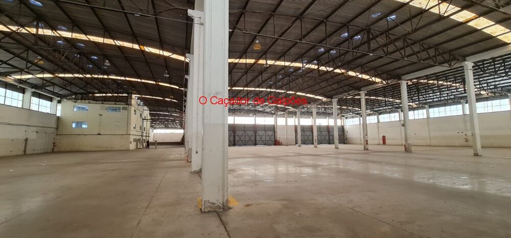 Depósito-Galpão-Armazém para alugar, 8375m² - Foto 2