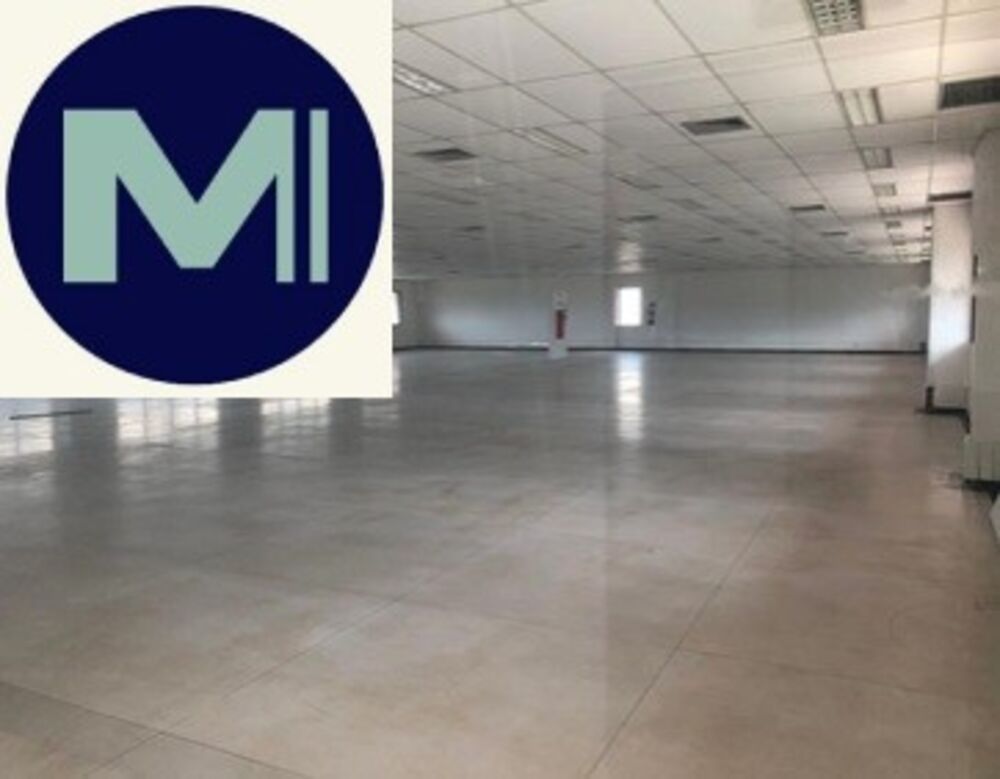 Depósito-Galpão, 5000 m² - Foto 3