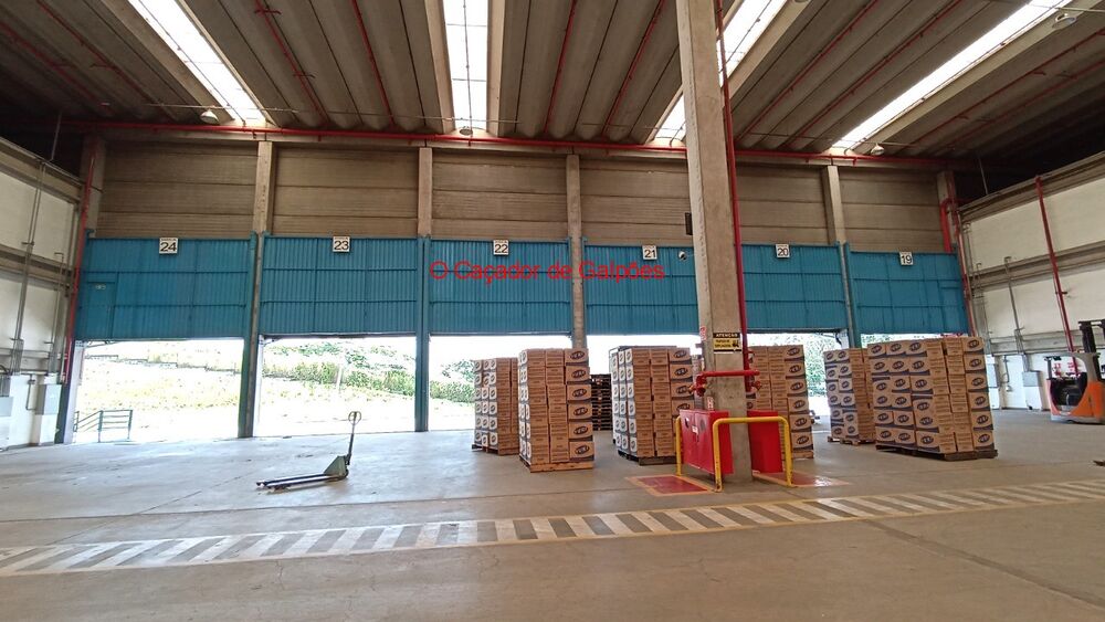 Depósito-Galpão, 4494 m² - Foto 25