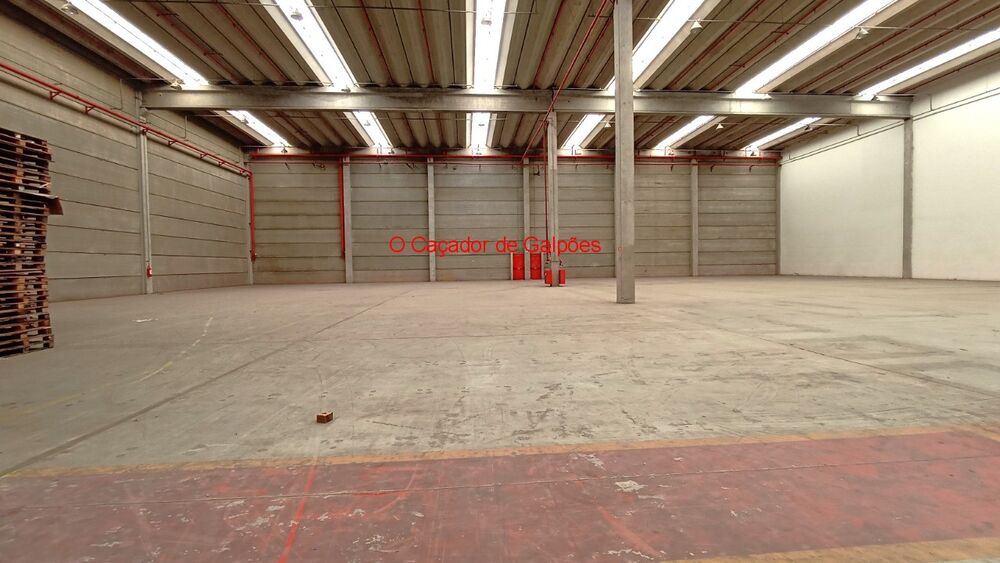 Depósito-Galpão, 4494 m² - Foto 13