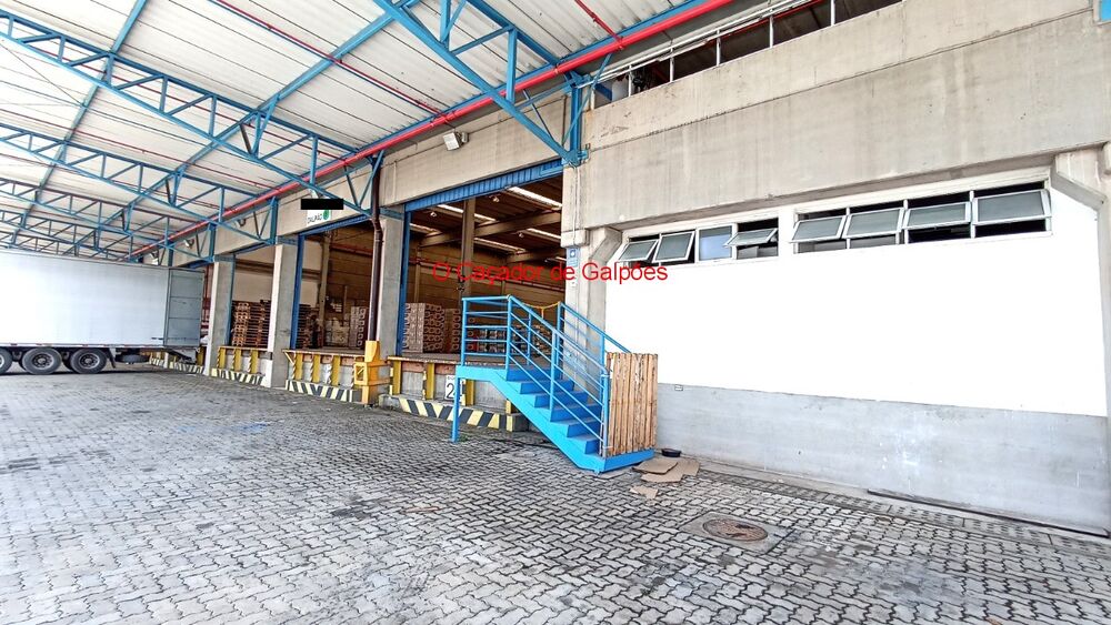 Depósito-Galpão, 4494 m² - Foto 19