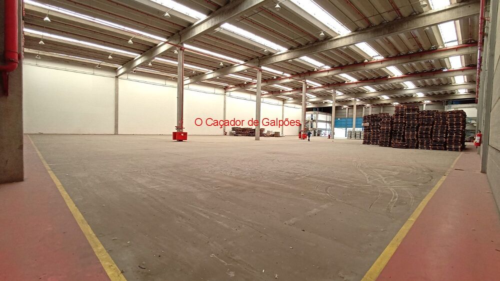 Depósito-Galpão, 4494 m² - Foto 28