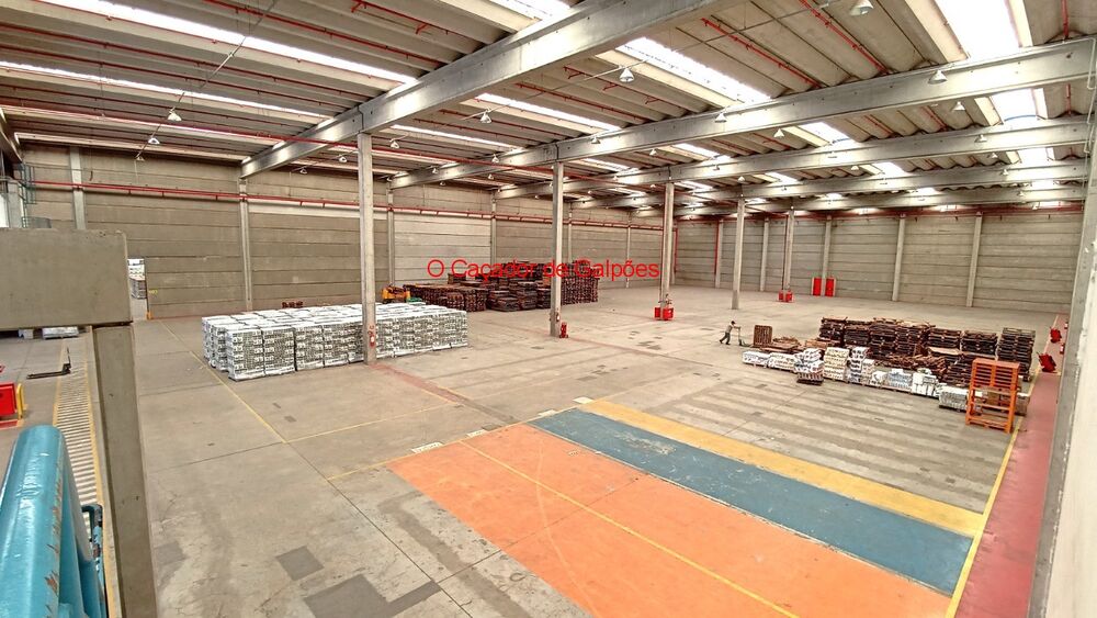 Depósito-Galpão, 4494 m² - Foto 12