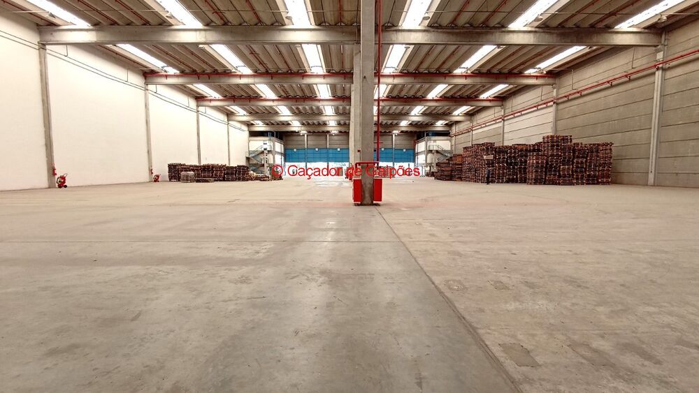 Depósito-Galpão, 4494 m² - Foto 8