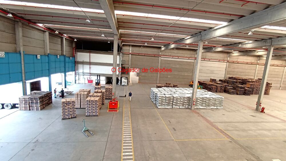 Depósito-Galpão, 4494 m² - Foto 21