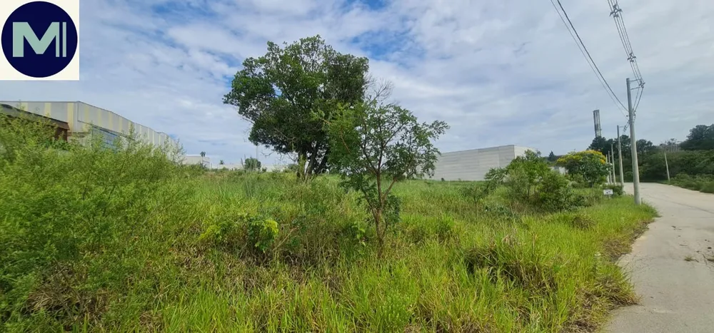 Terreno, 3000 m² - Foto 4