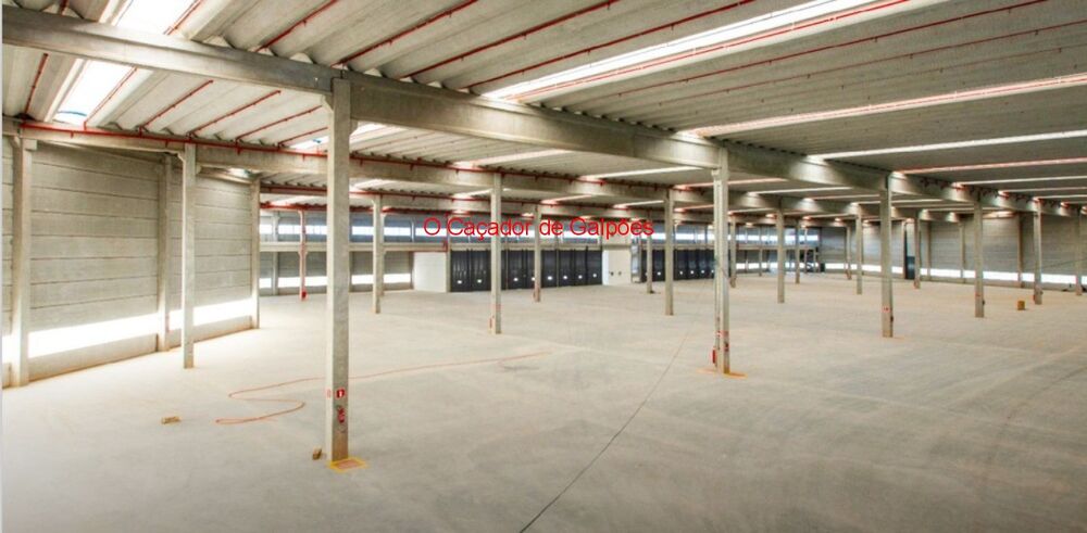 Depósito-Galpão, 4928 m² - Foto 3
