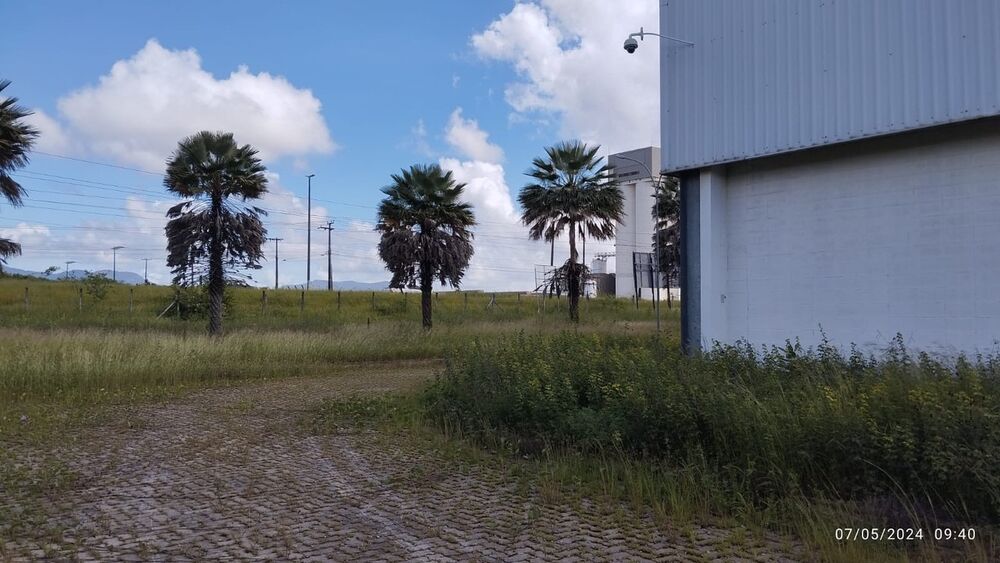 Depósito-Galpão, 6000 m² - Foto 19