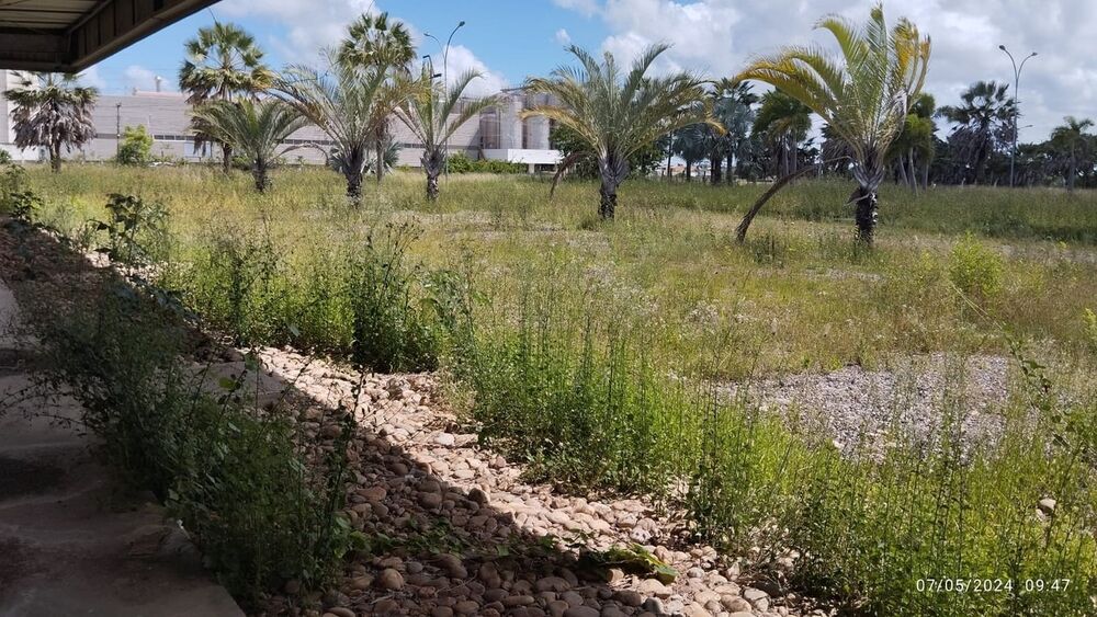 Depósito-Galpão, 6000 m² - Foto 29