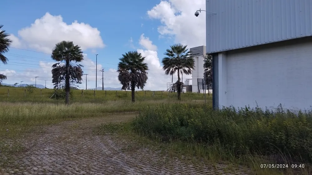 Depósito-Galpão, 8000 m² - Foto 12