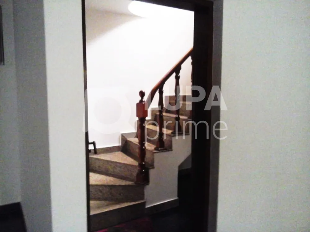 Casa, 6 quartos, 343 m² - Foto 10