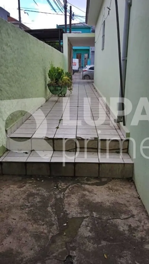 Casa, 5 quartos, 181 m² - Foto 4