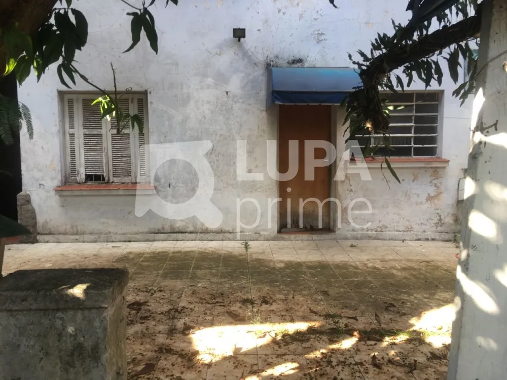 Casa, 3 quartos, 210 m² - Foto 6