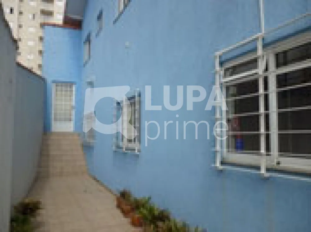 Casa, 3 quartos, 300 m² - Foto 5