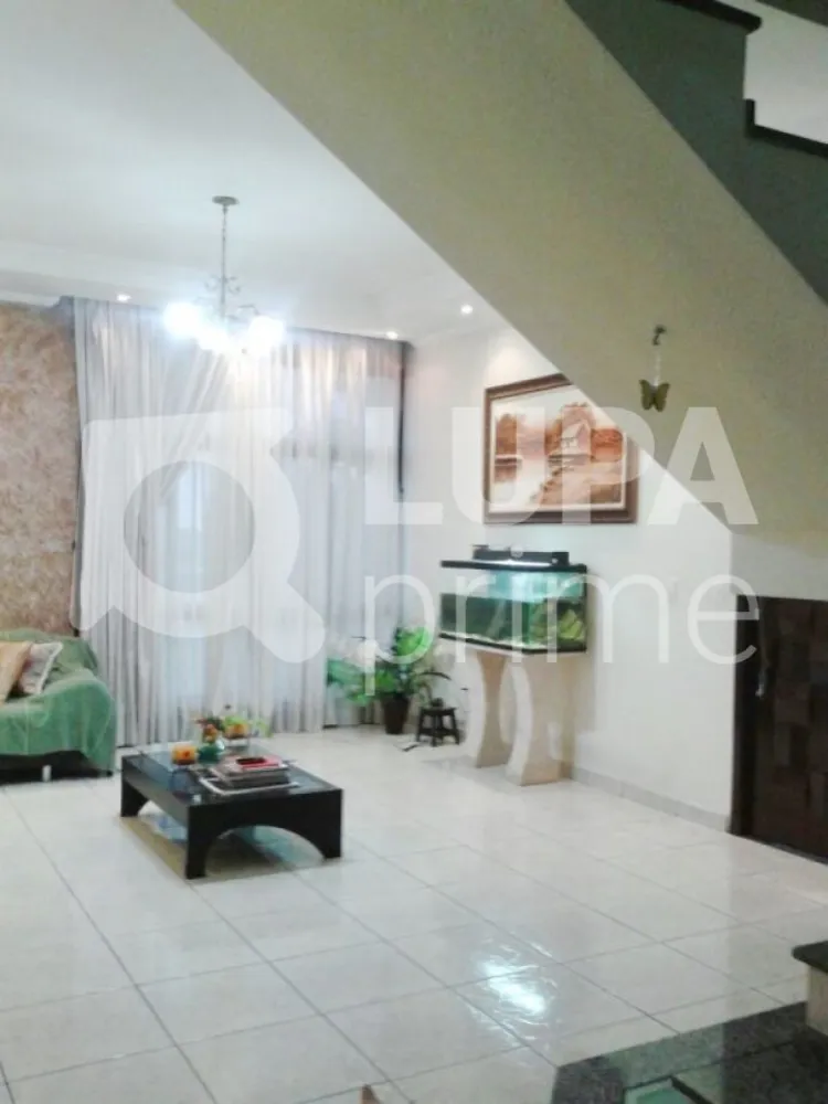 Casa, 4 quartos, 240 m² - Foto 4