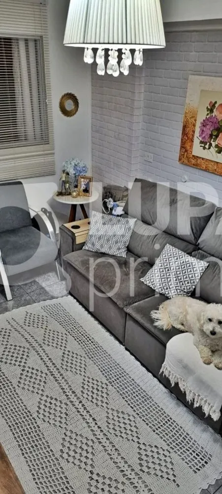 Casa, 5 quartos, 177 m² - Foto 11