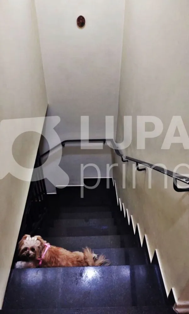Casa, 5 quartos, 155 m² - Foto 3