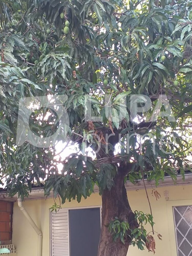 Casa, 8 quartos, 350 m² - Foto 17