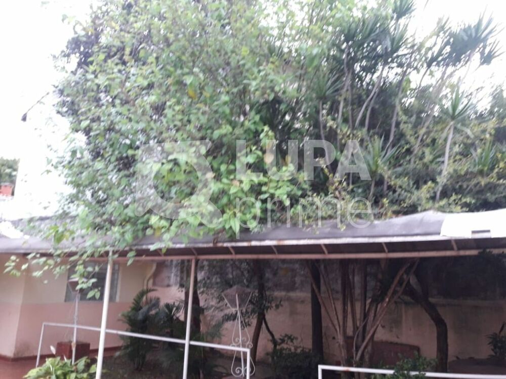 Casa, 8 quartos, 350 m² - Foto 12